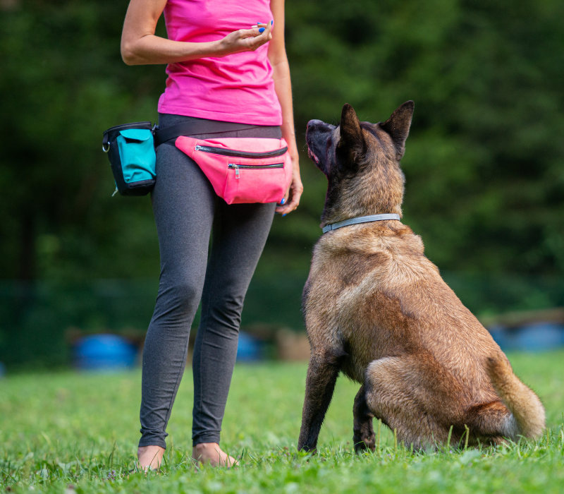 k9corp 800x700 (6) Adiestrador canino compartiendo conexión emocional con su perro, representando la esencia humana y profesional de K9CORP